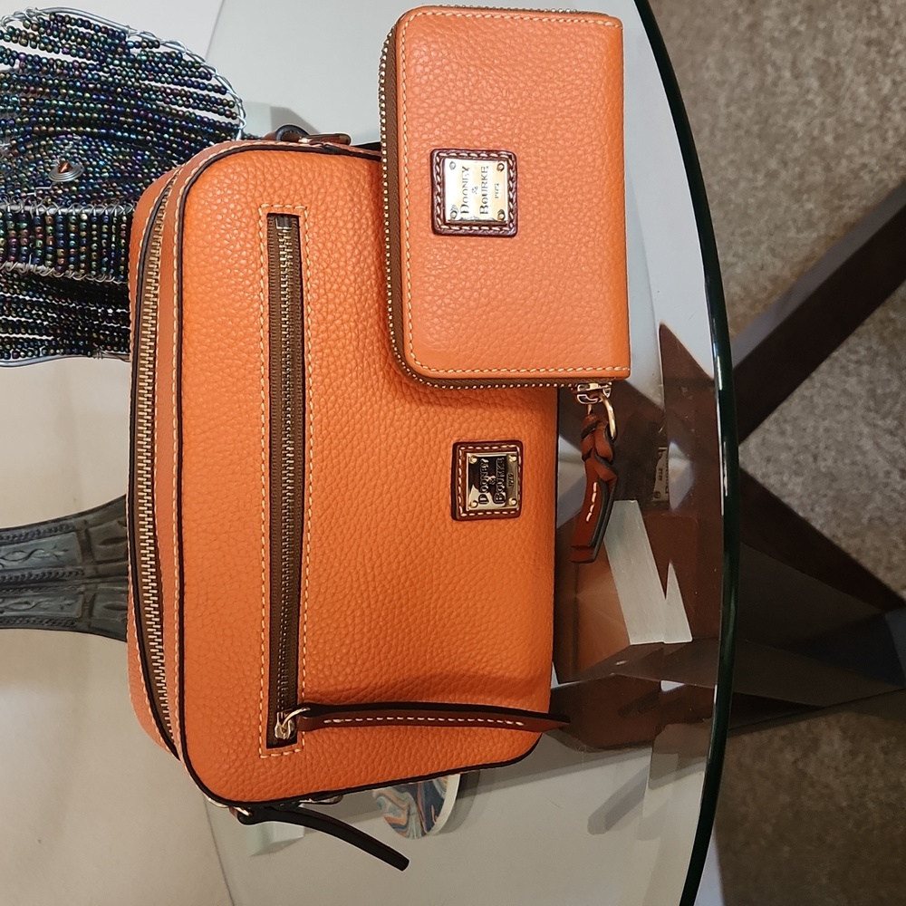 Dooney and Bourke Camera Bag and wallet